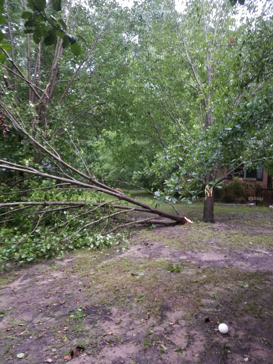 storm damage