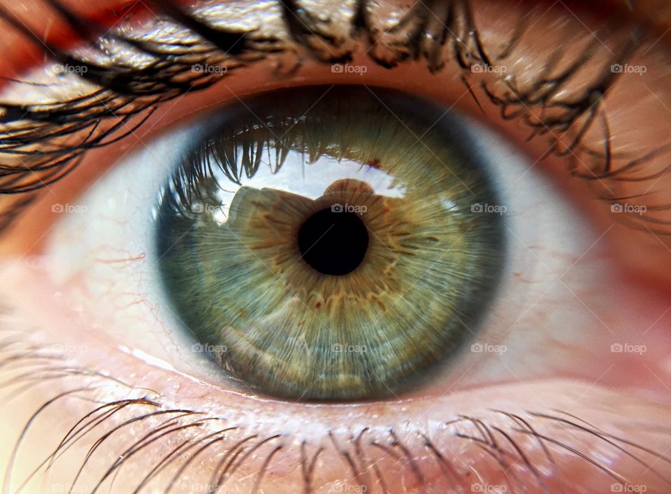 Extreme close-up of human eye