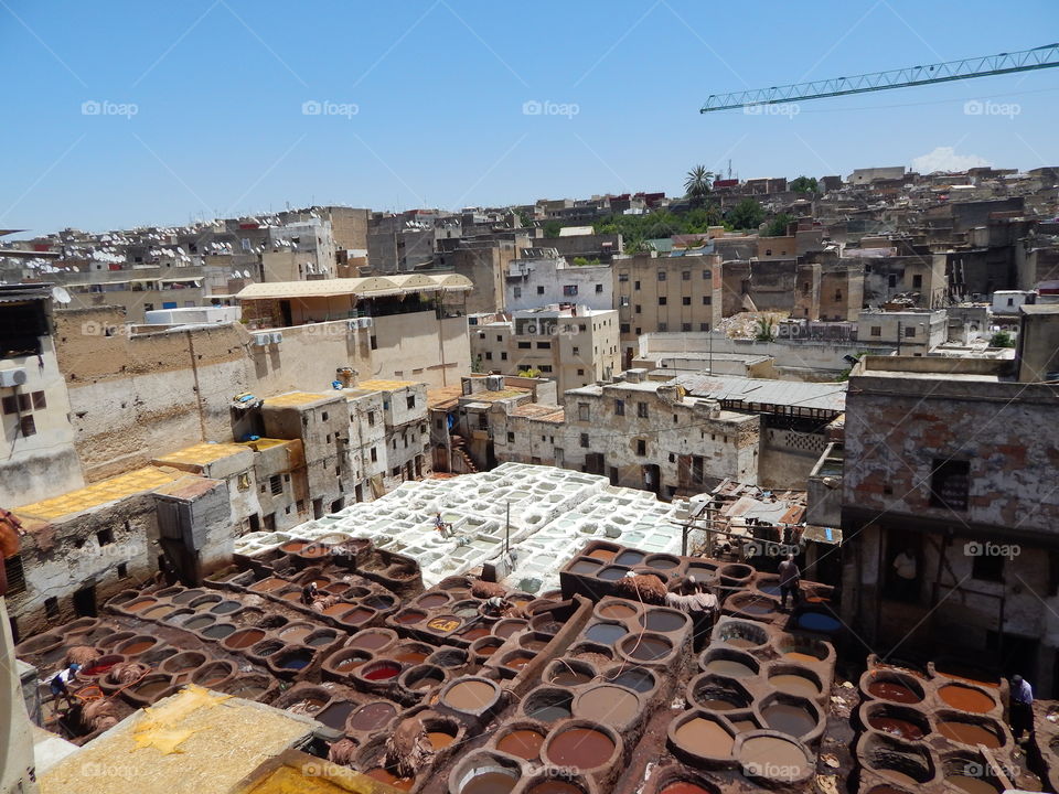 The Fez tannery in Morocco 