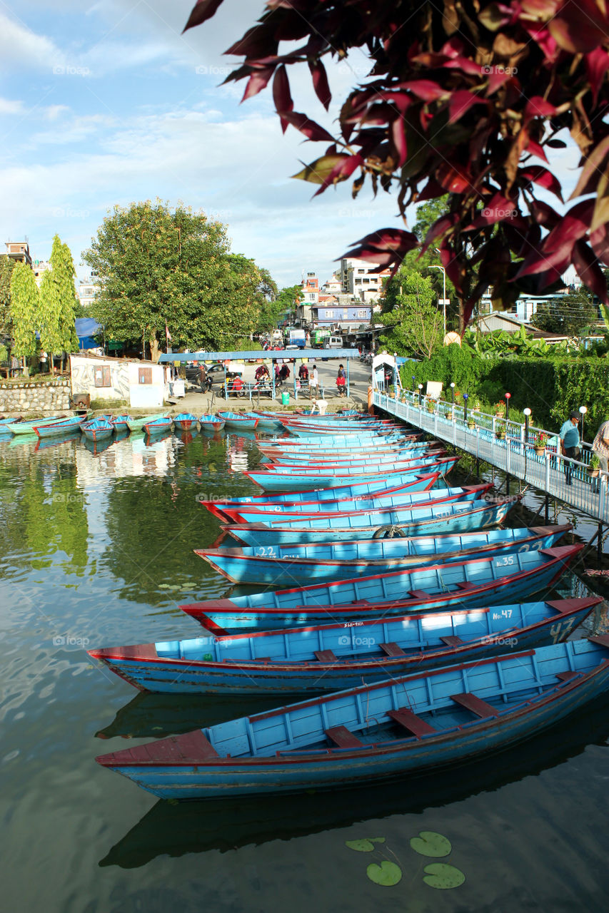 boats n fewa lake pokhara nepal