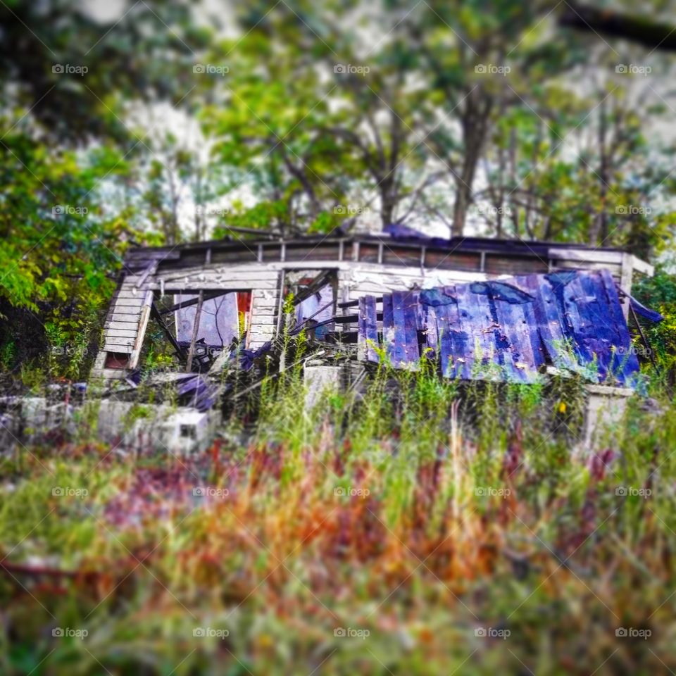 nature reclaims everything