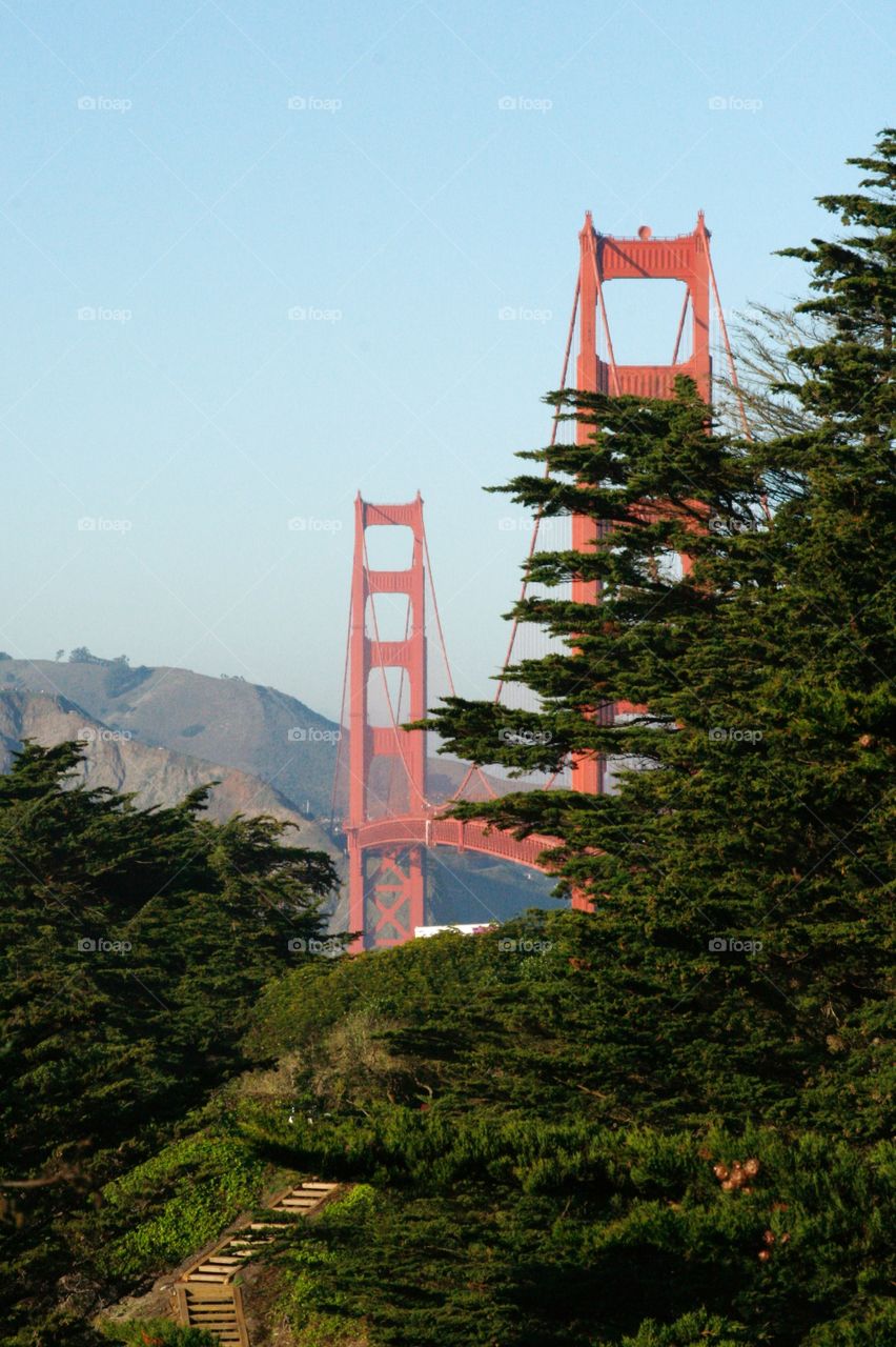 Golden Gate Bridge 