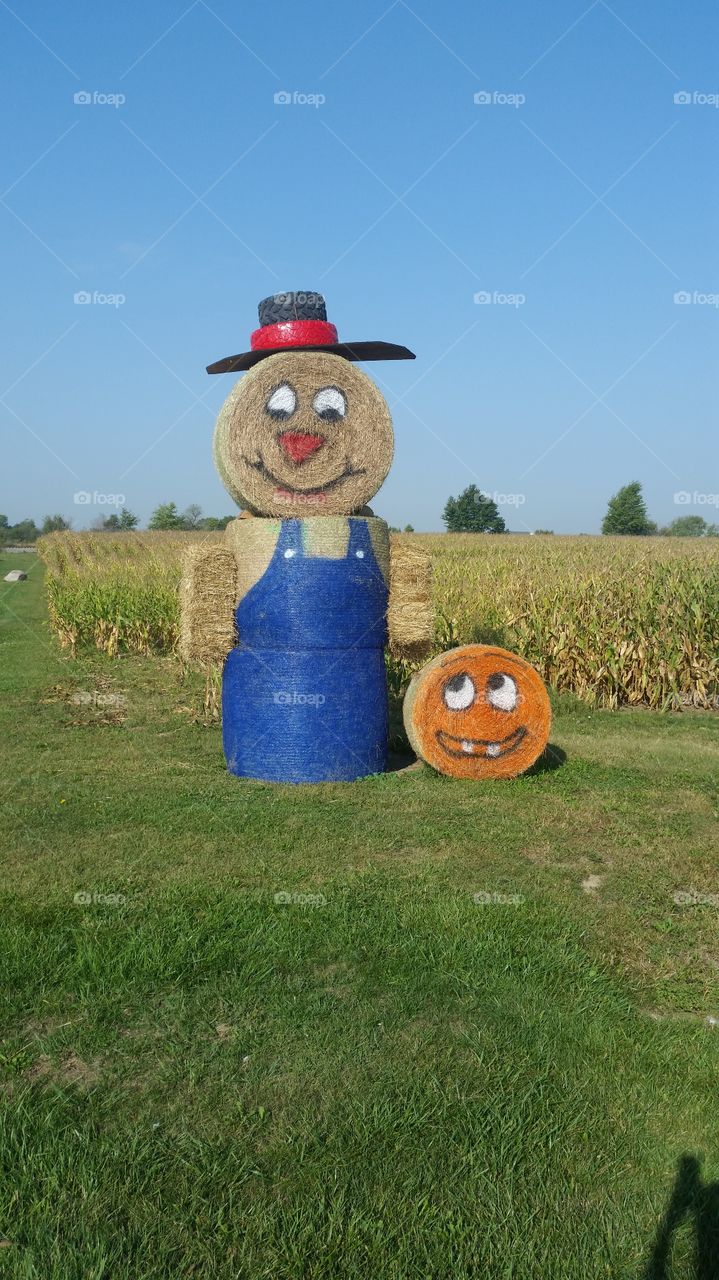 Halloween /Fall Deco