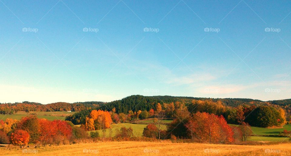 Fall season landscape.