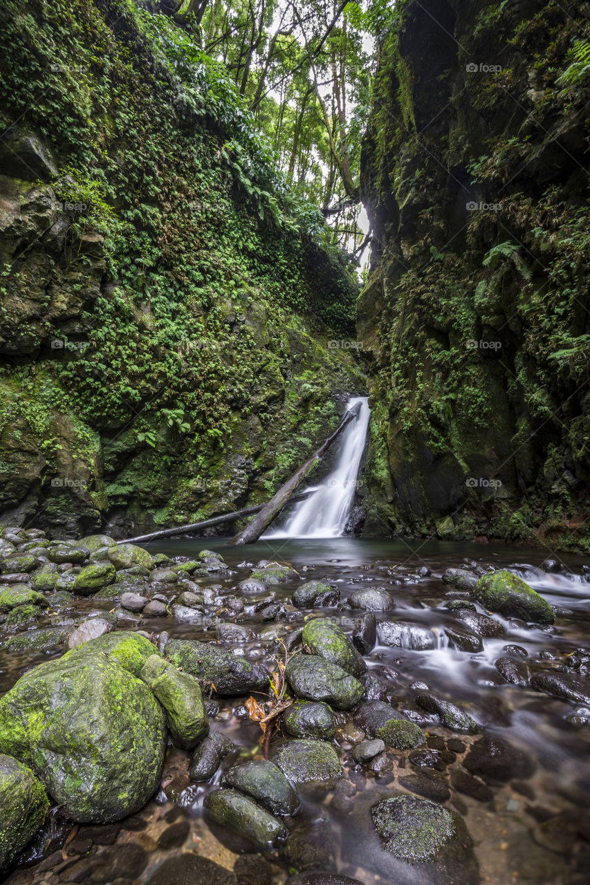 The waterfall of Salto do Cagarrao in the middle of the woods of the island of Sao Miguel, Azores, Portugal.