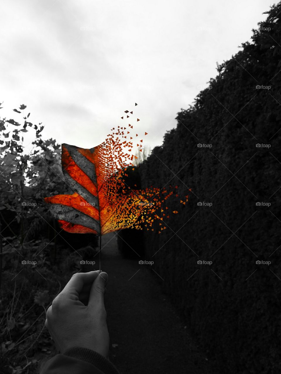 "The future's in the air
I can feel it everywhere
Blowing with the wind of change"