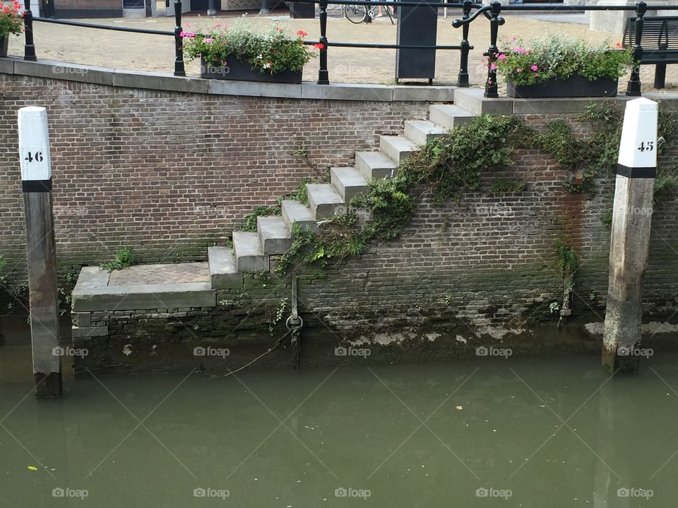 Canal view. Along the canals of Dordrecht 