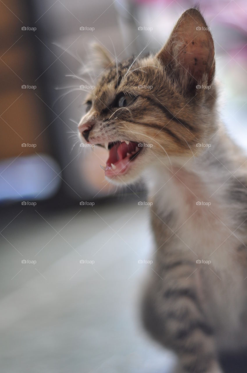 dont come to close...