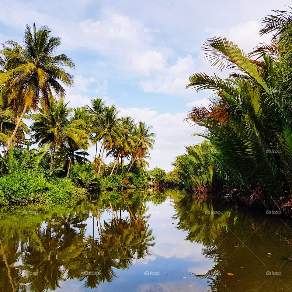 Scenic view of riverside againt sky