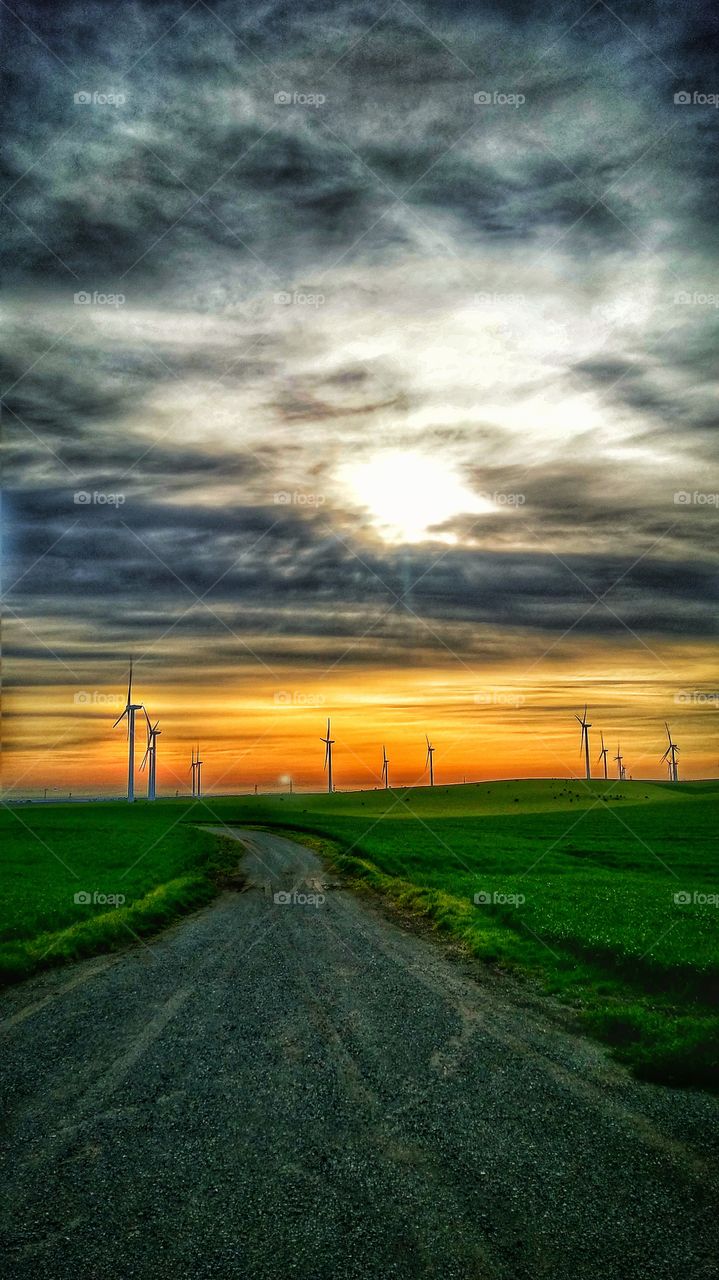 Windmills.