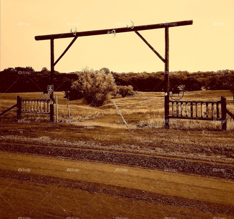 cattle ranch