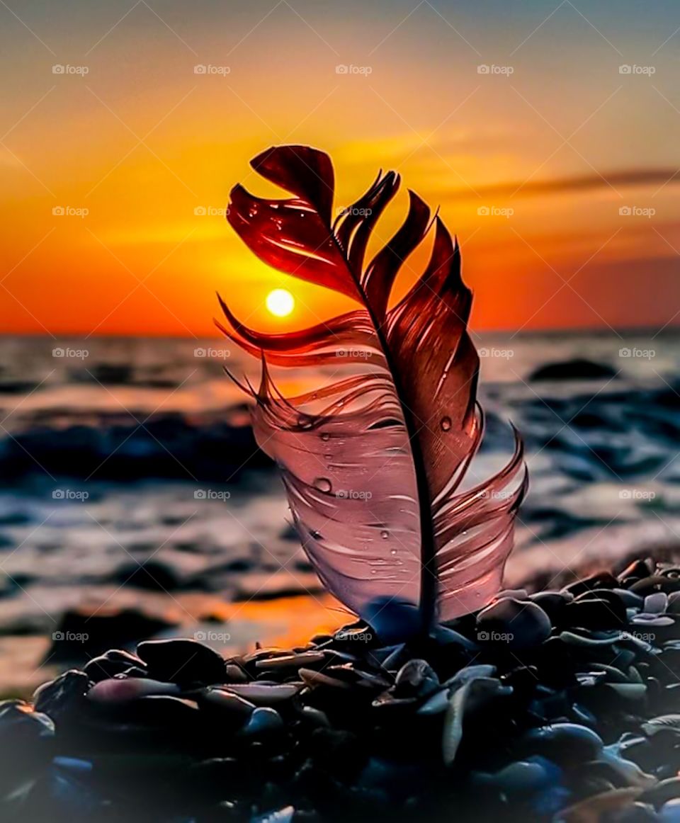 Brown autumn leave shot ideal for backgrounds and textures.