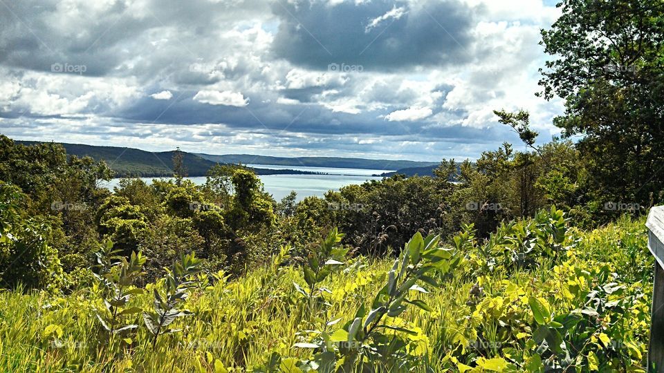 Contrast of blue, white and greens