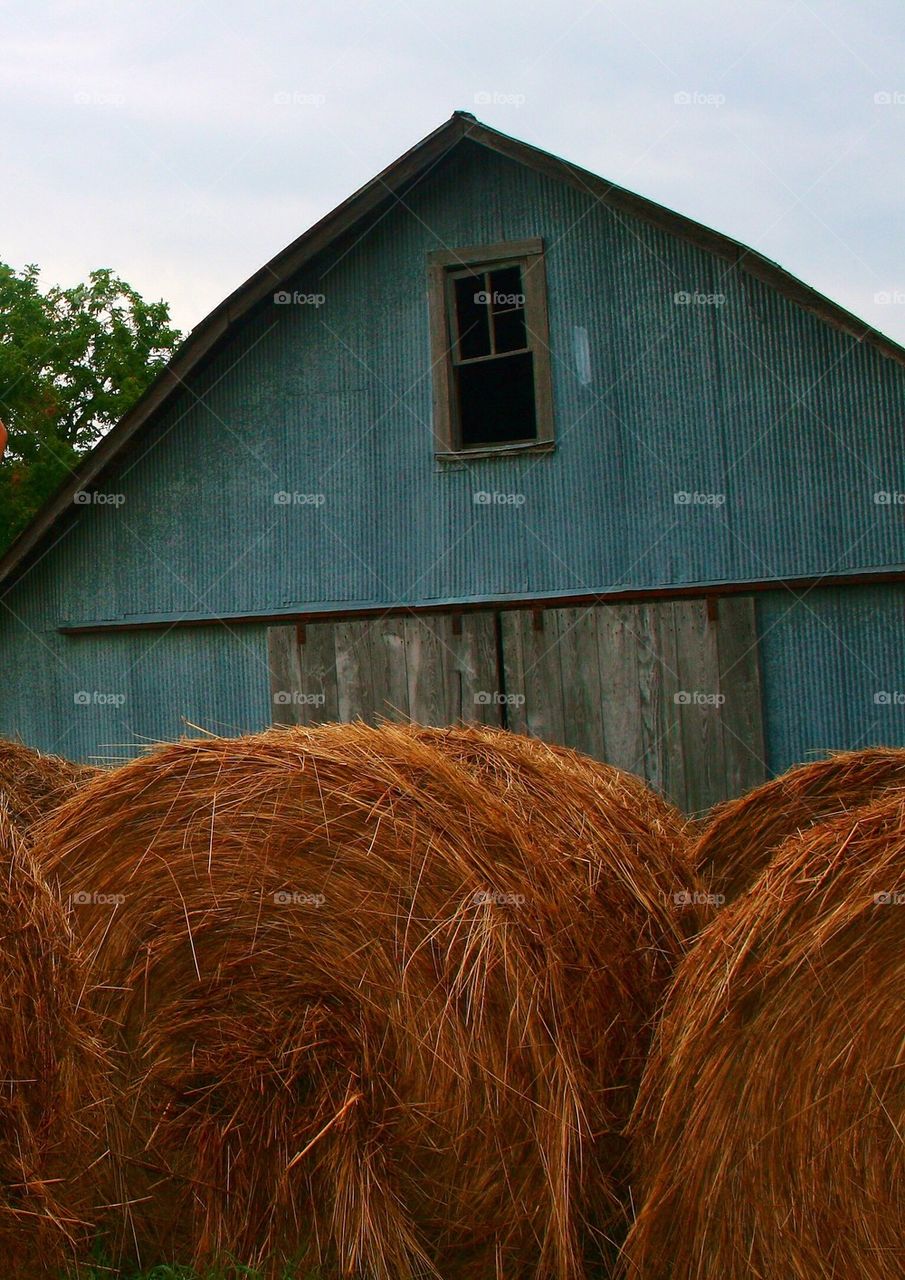 Farm Life