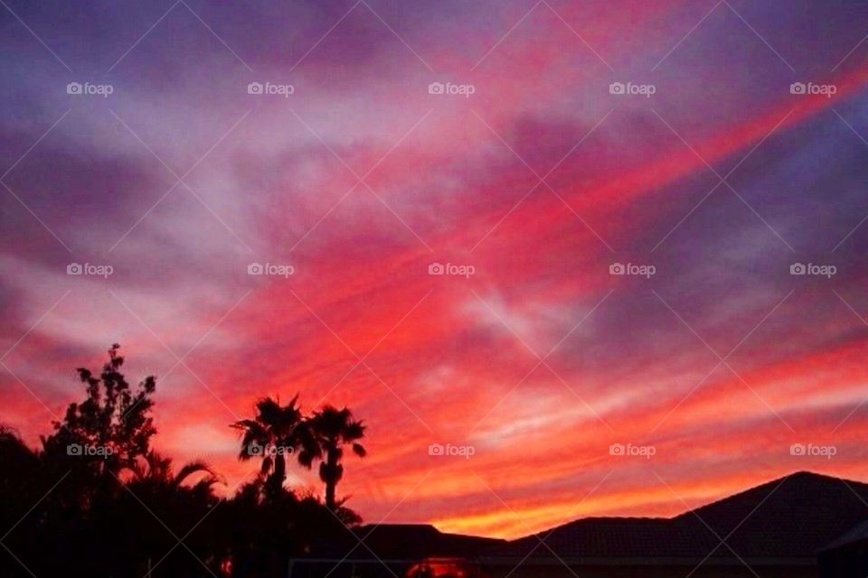 Sunset over roofs