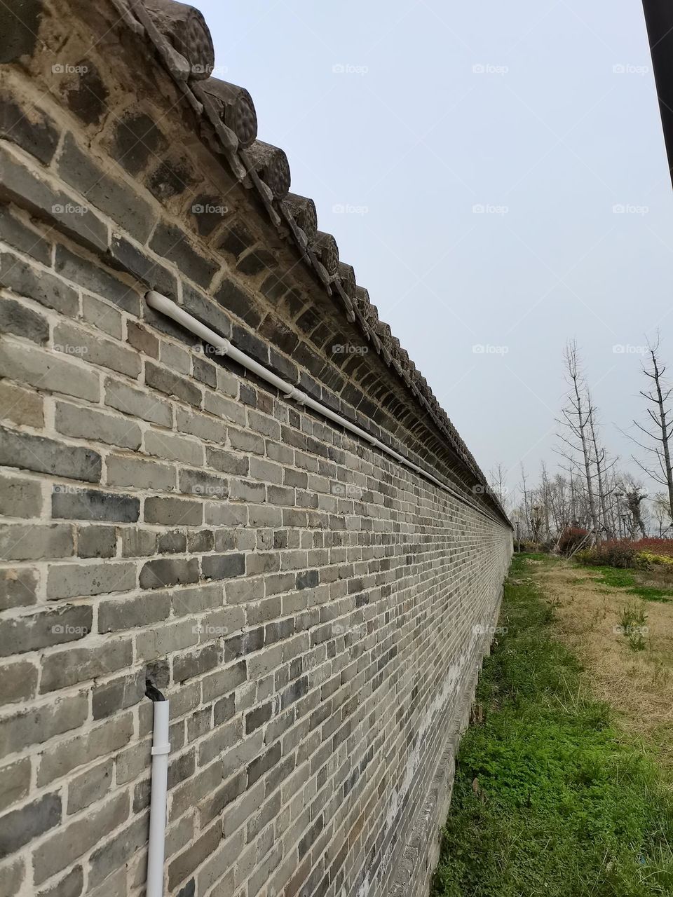 wall