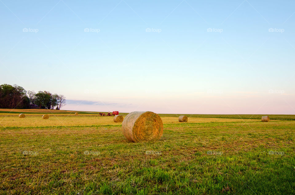 hay roll field
