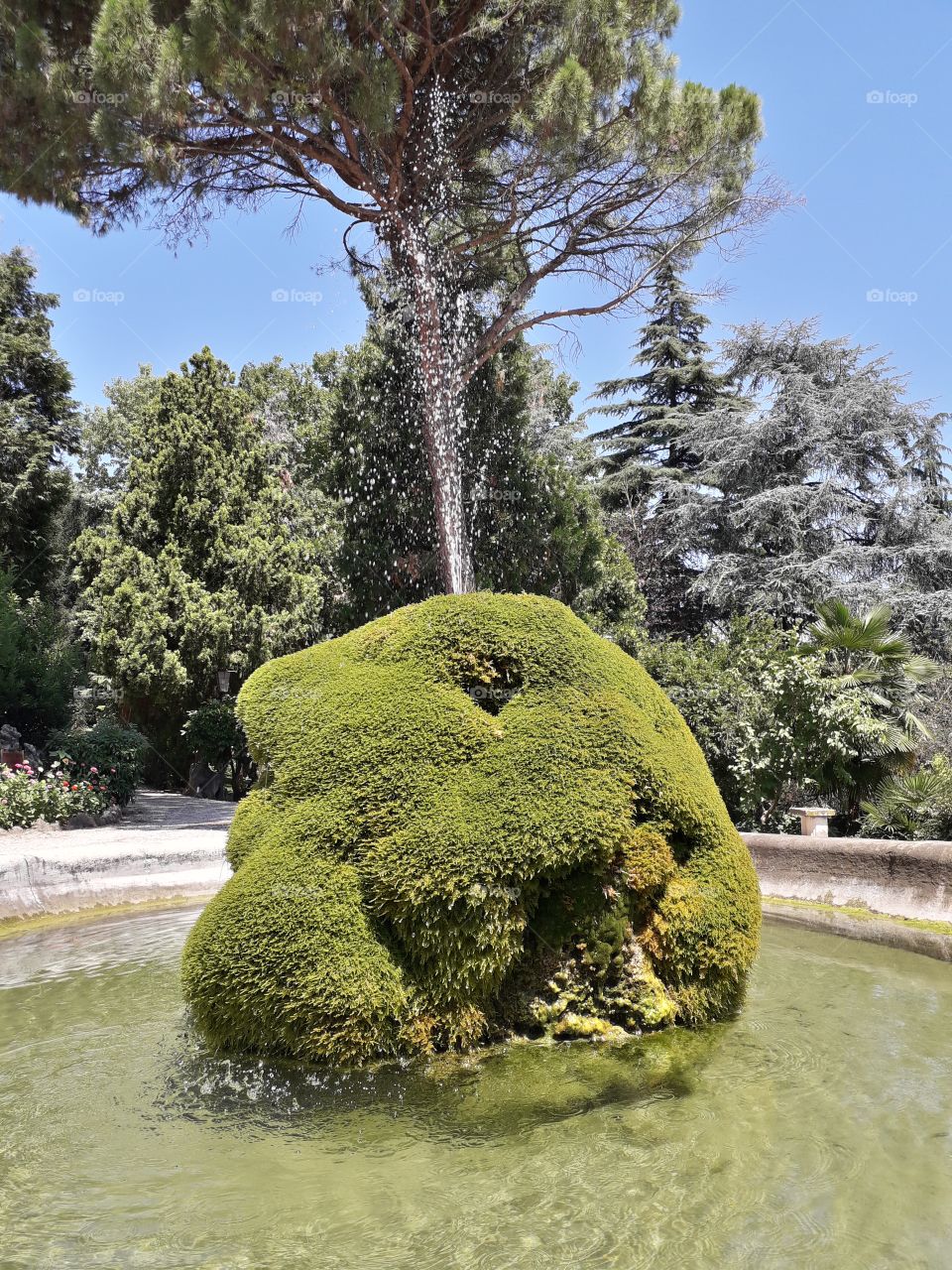 fountain at the park