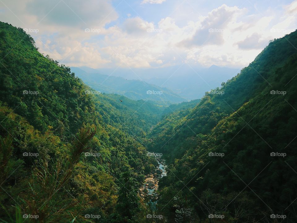 Lush forests of Tublay