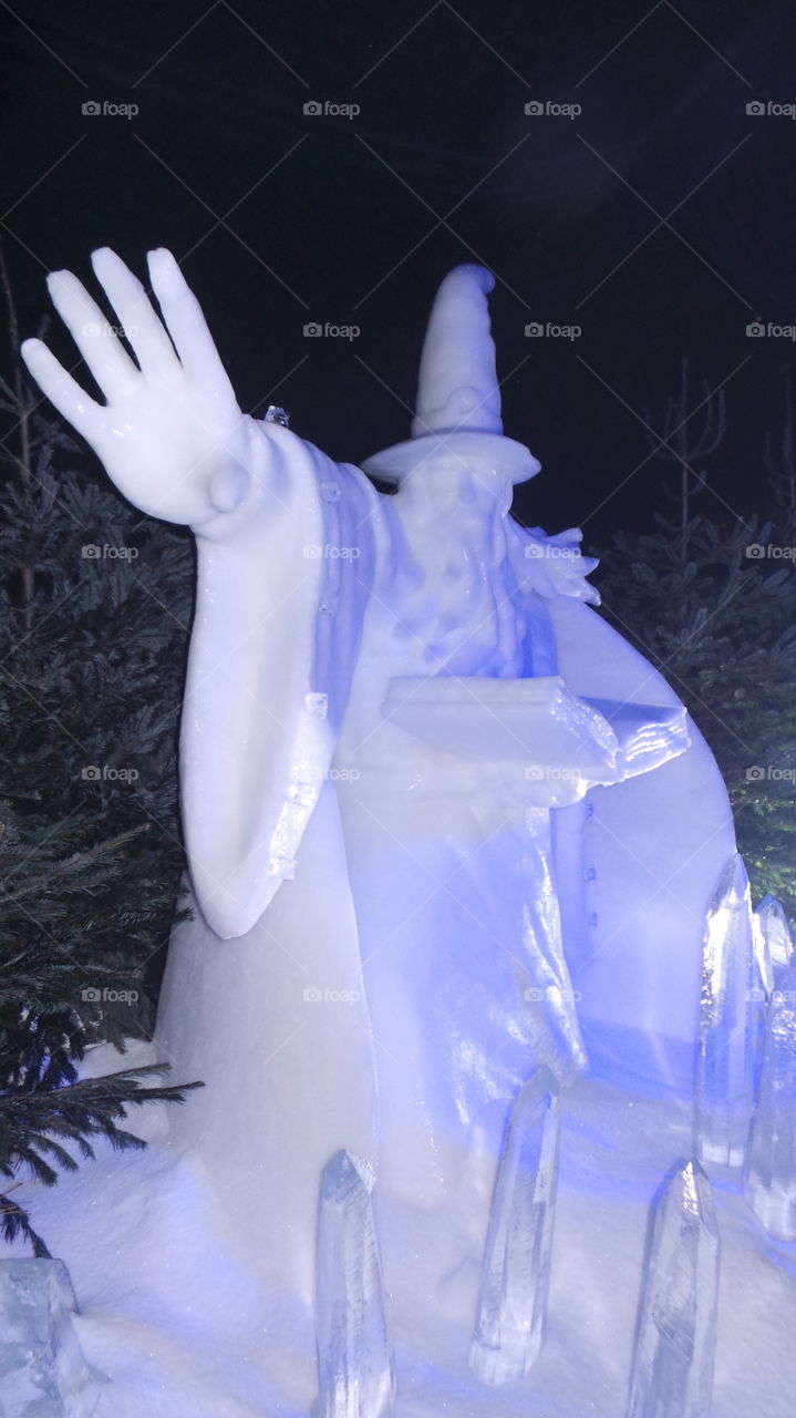 frosted wizard ice sculpture