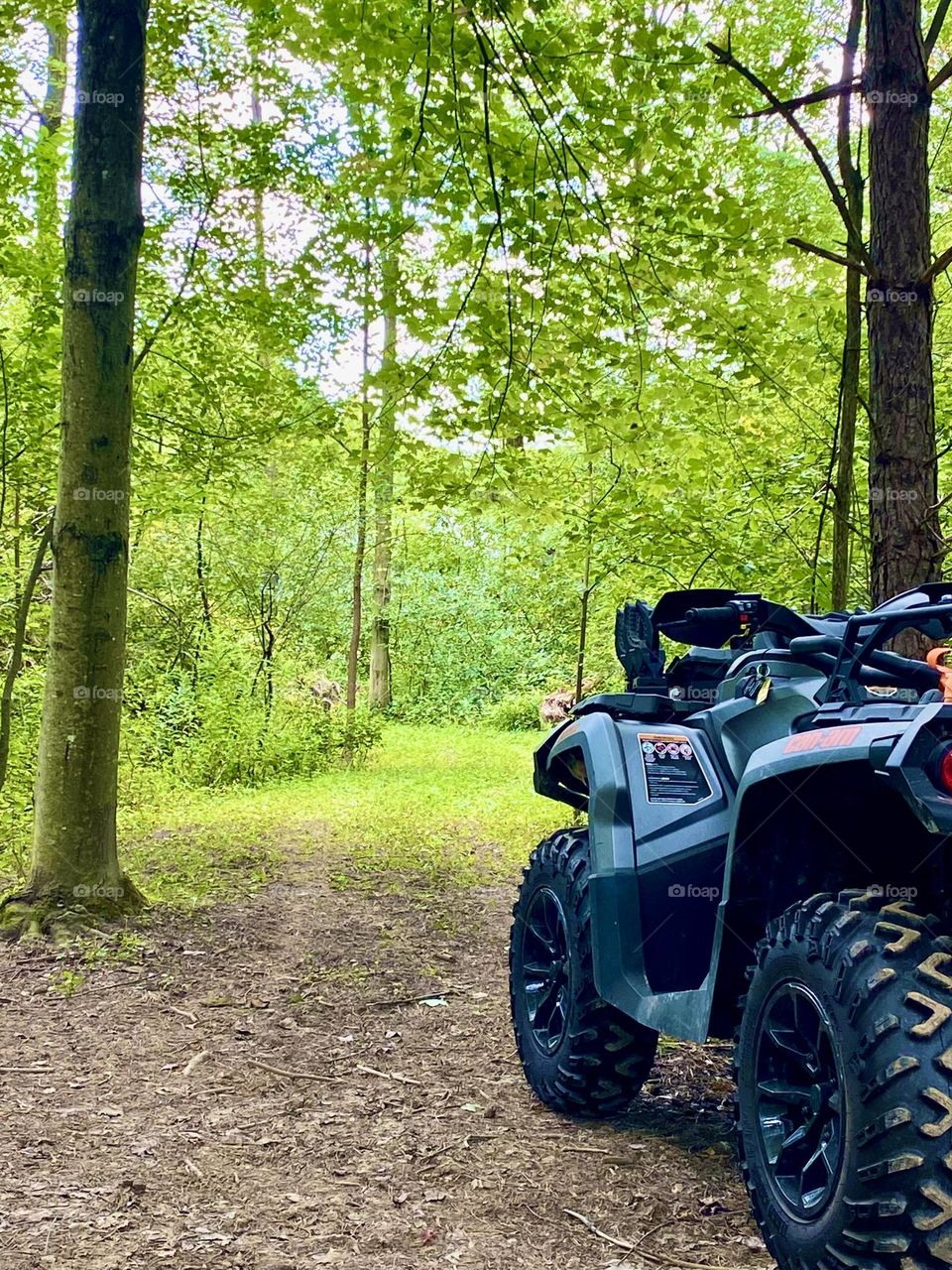 Trail riding in nature 