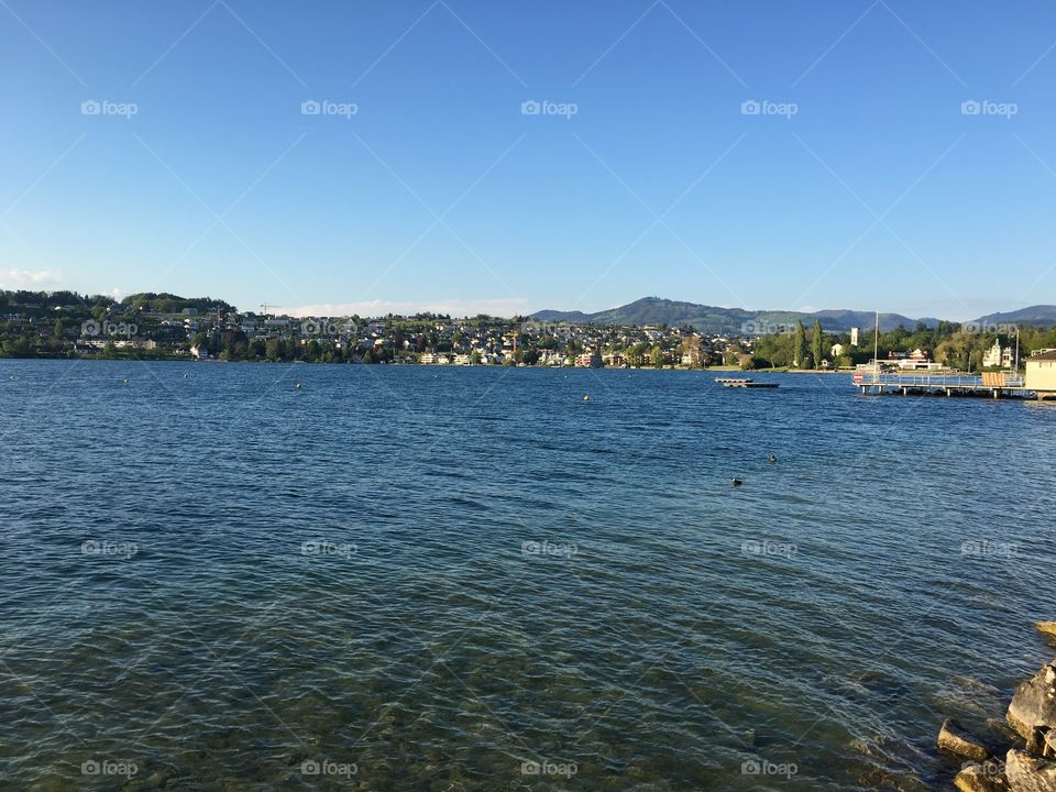 A Landscape of Zurich Lake

