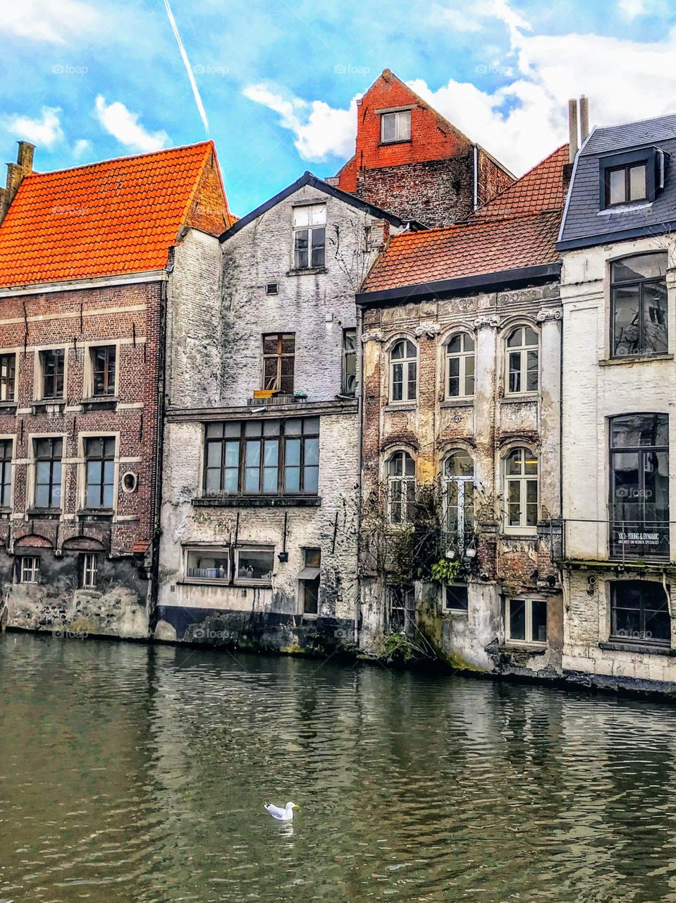 Historic canal homes of Ghent