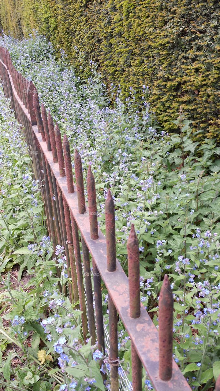 rusty fence