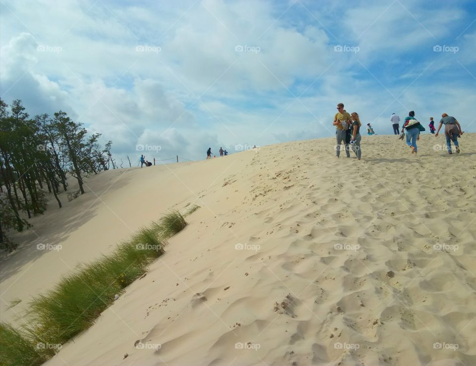 Sand, Travel, Dune, Beach, Desert