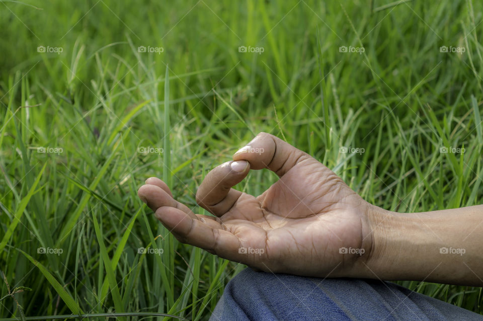 Close up hands, yoga outdoor, exercising vital and meditation for fitness at the nature background. Healthy and Yoga, zen relaxation nature background. Healthy Lifestyle Concept. (Kolkata, India)