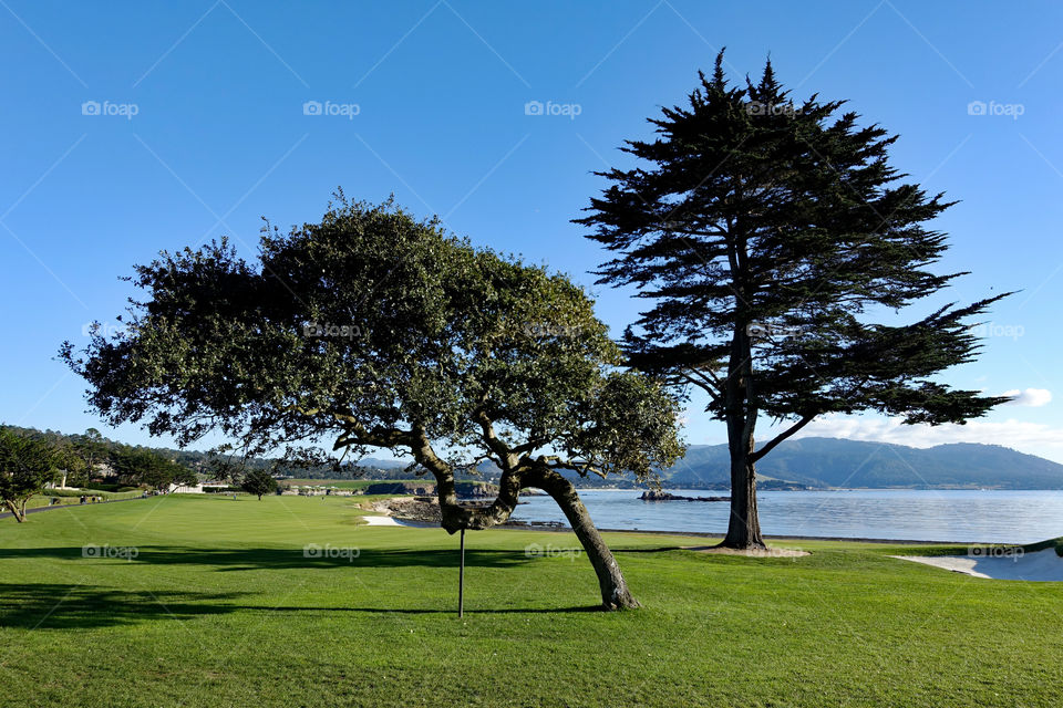 Golf course, ocean view,