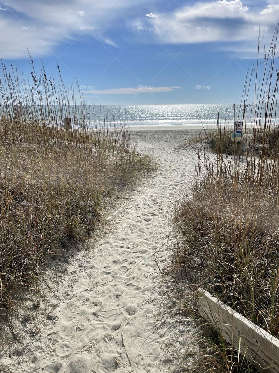 Beach Path