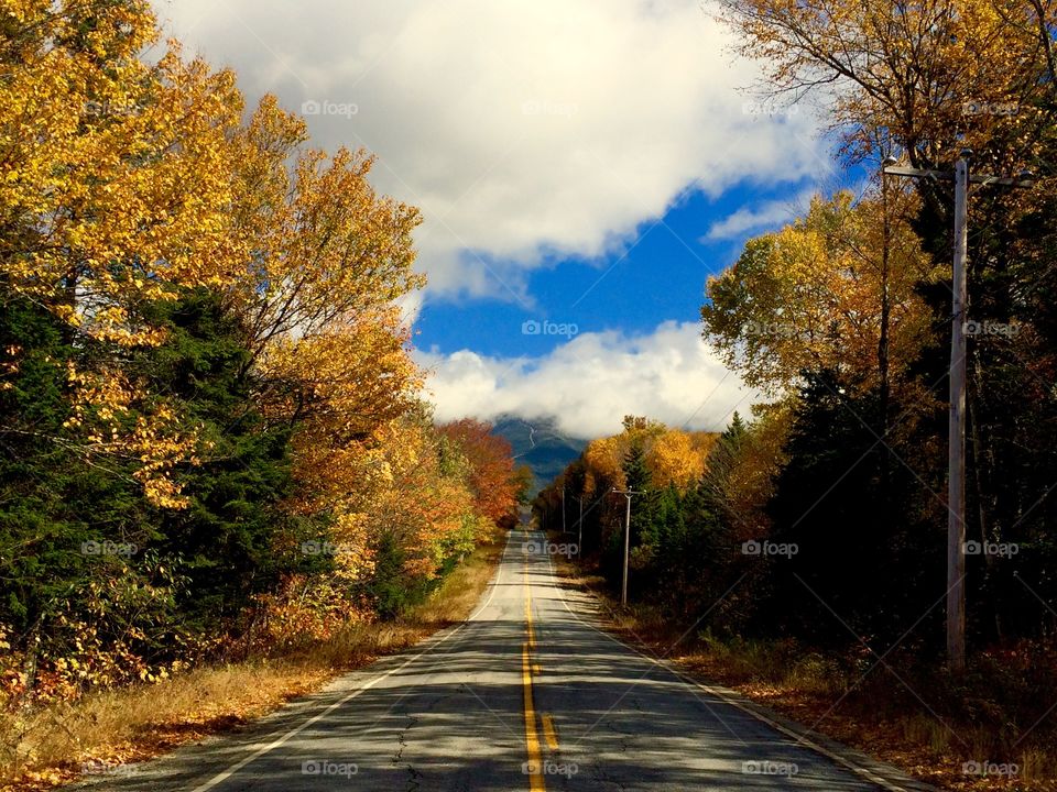 New Hampshire road 