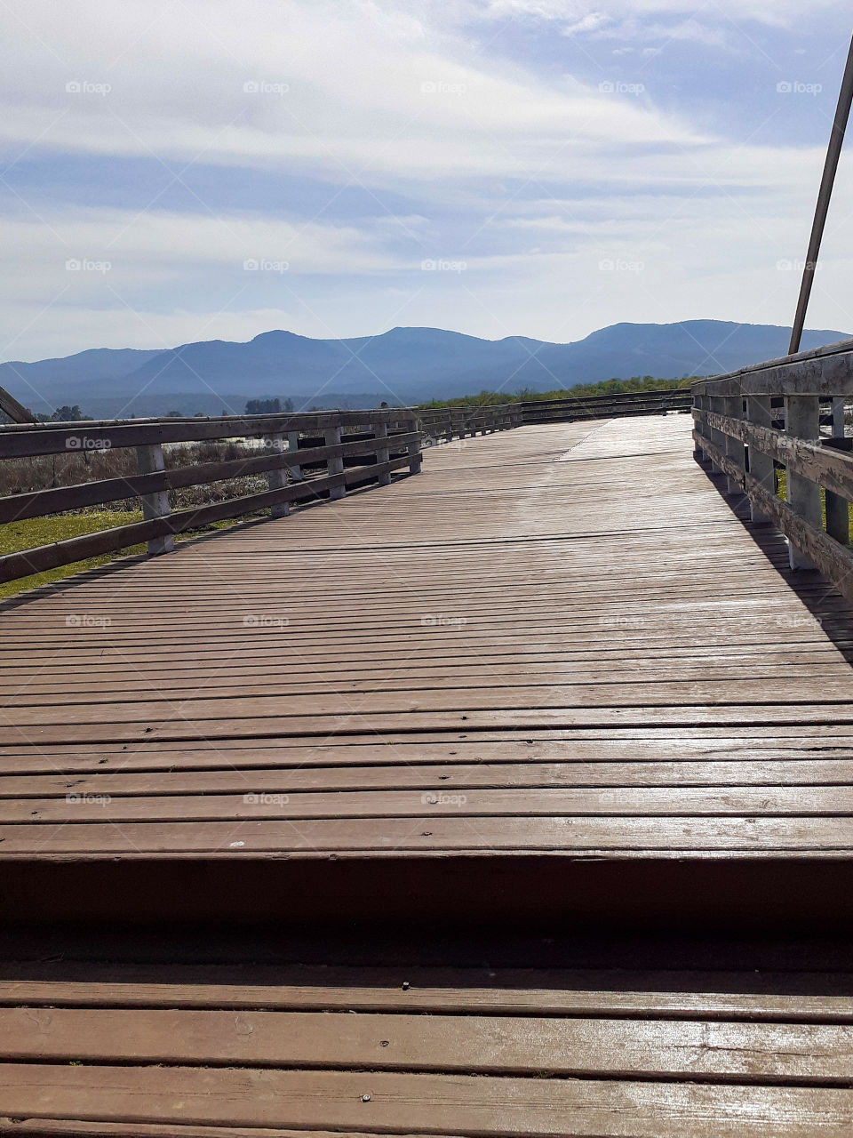 El Taref beach in Algeria