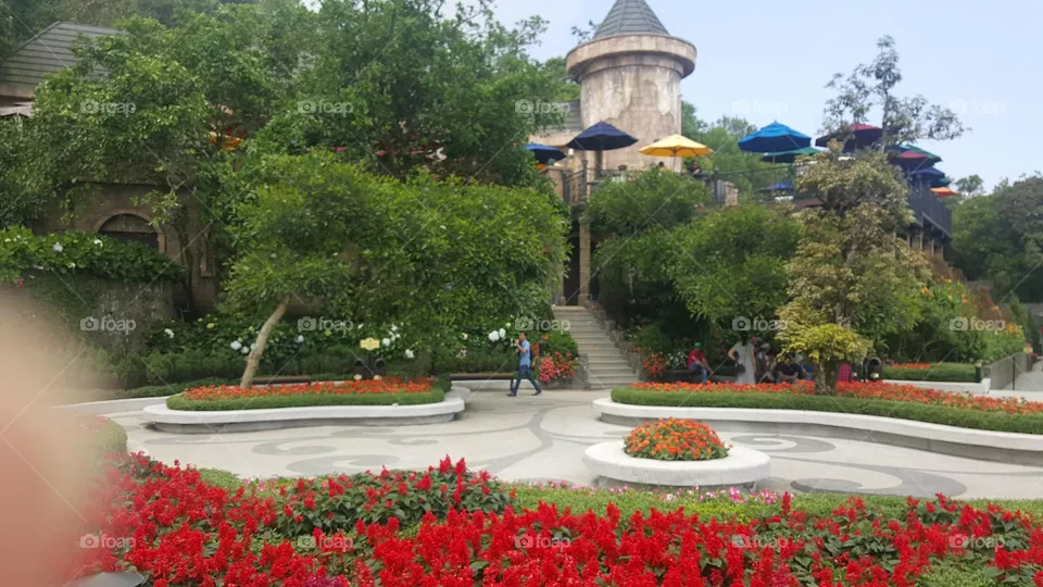 flower garden