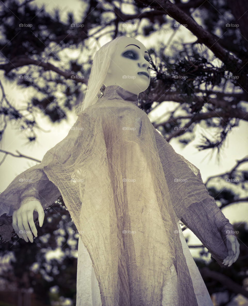 Low angle view of a ghostly Halloween decoration 