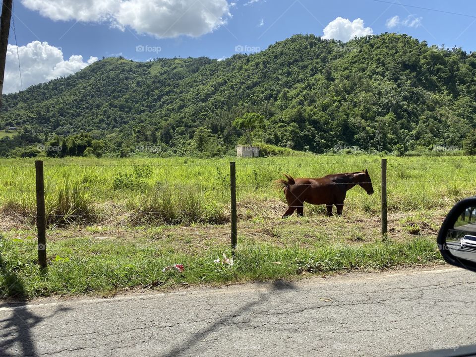 A normal day in the countryside!