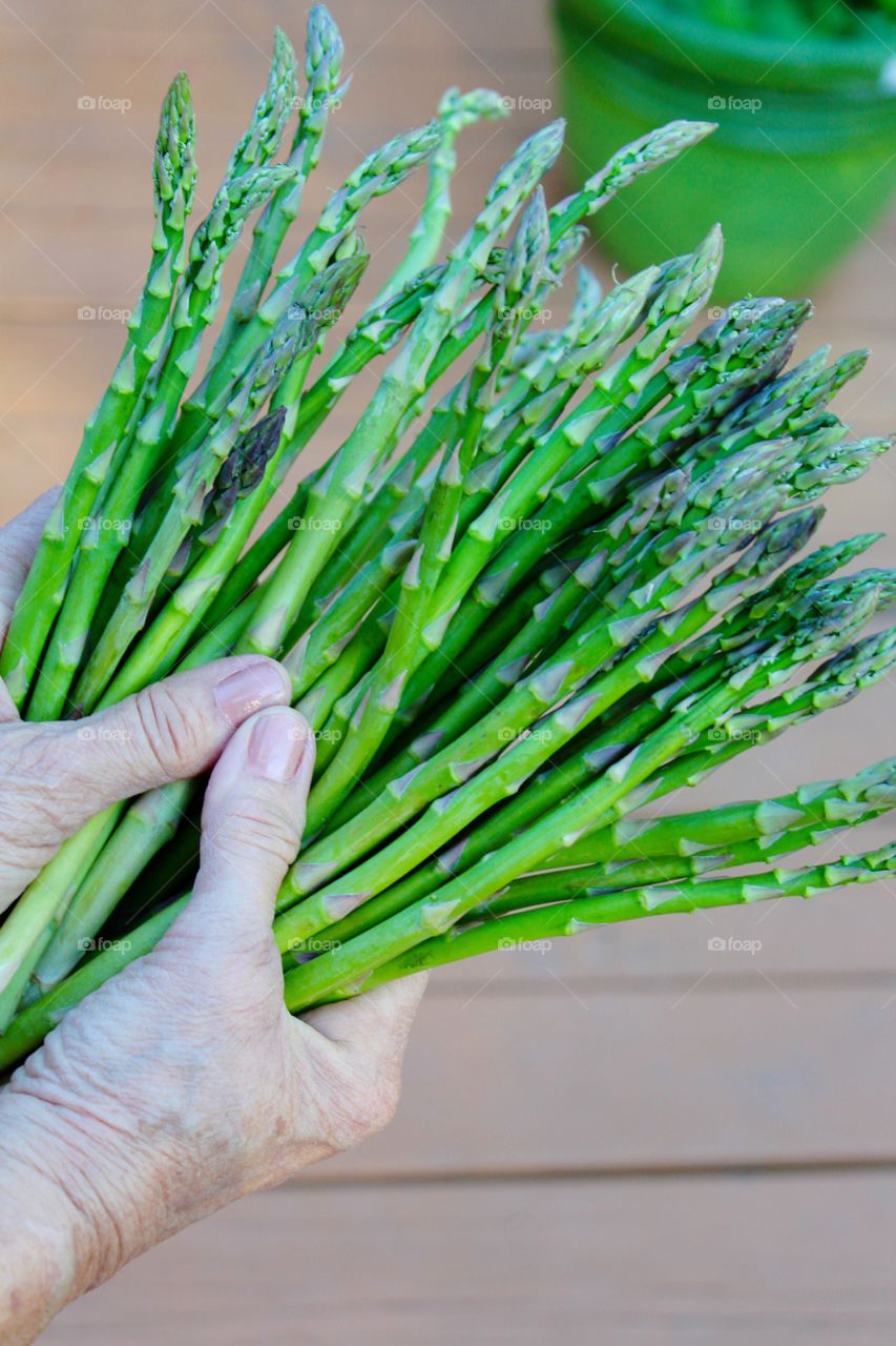 Hand holding asparagus