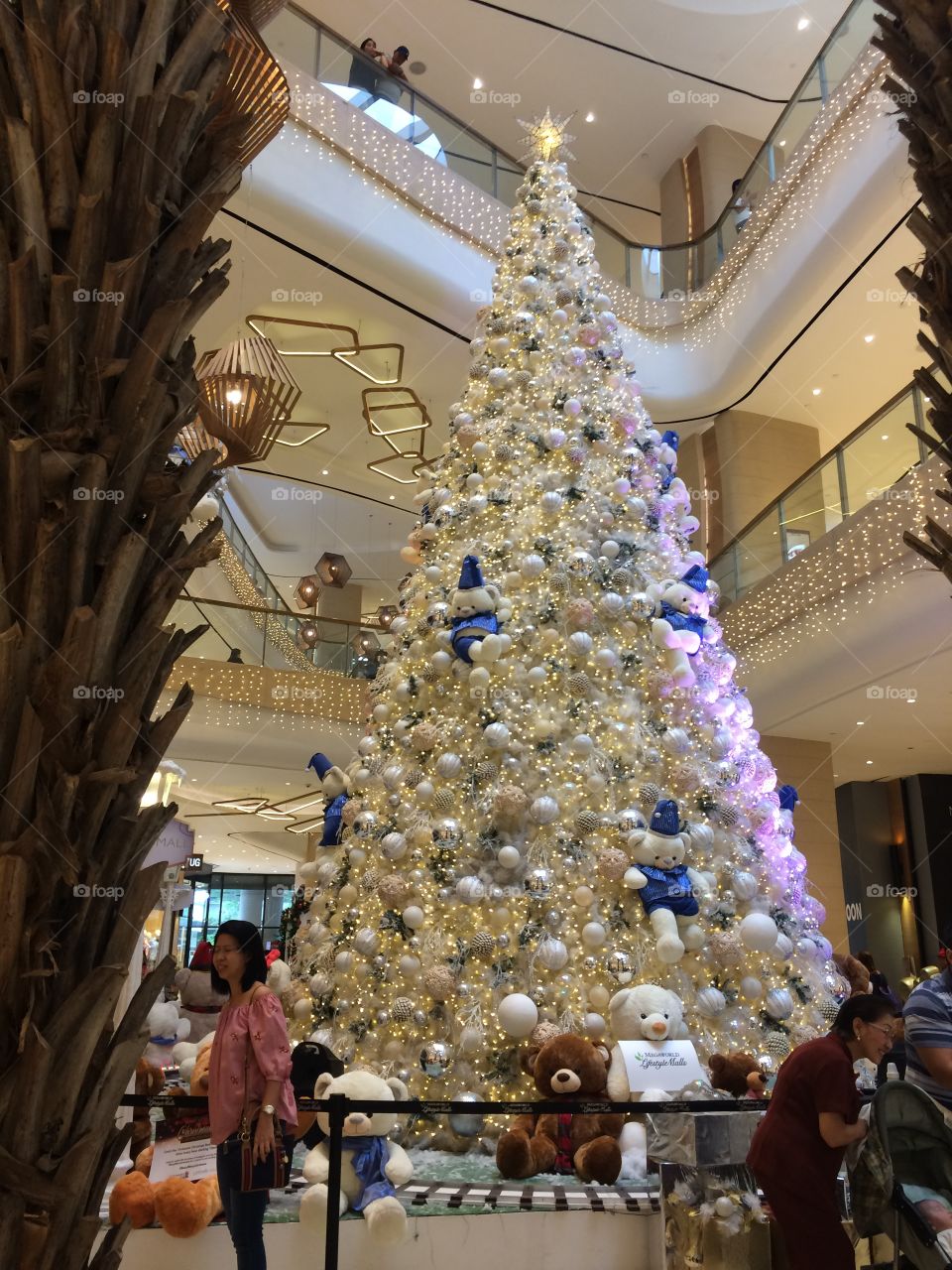 Big christmas tree