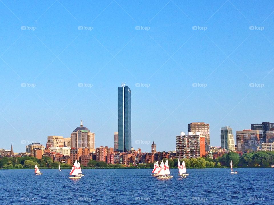 Sailing in Boston . Sight of sailing in Boston 