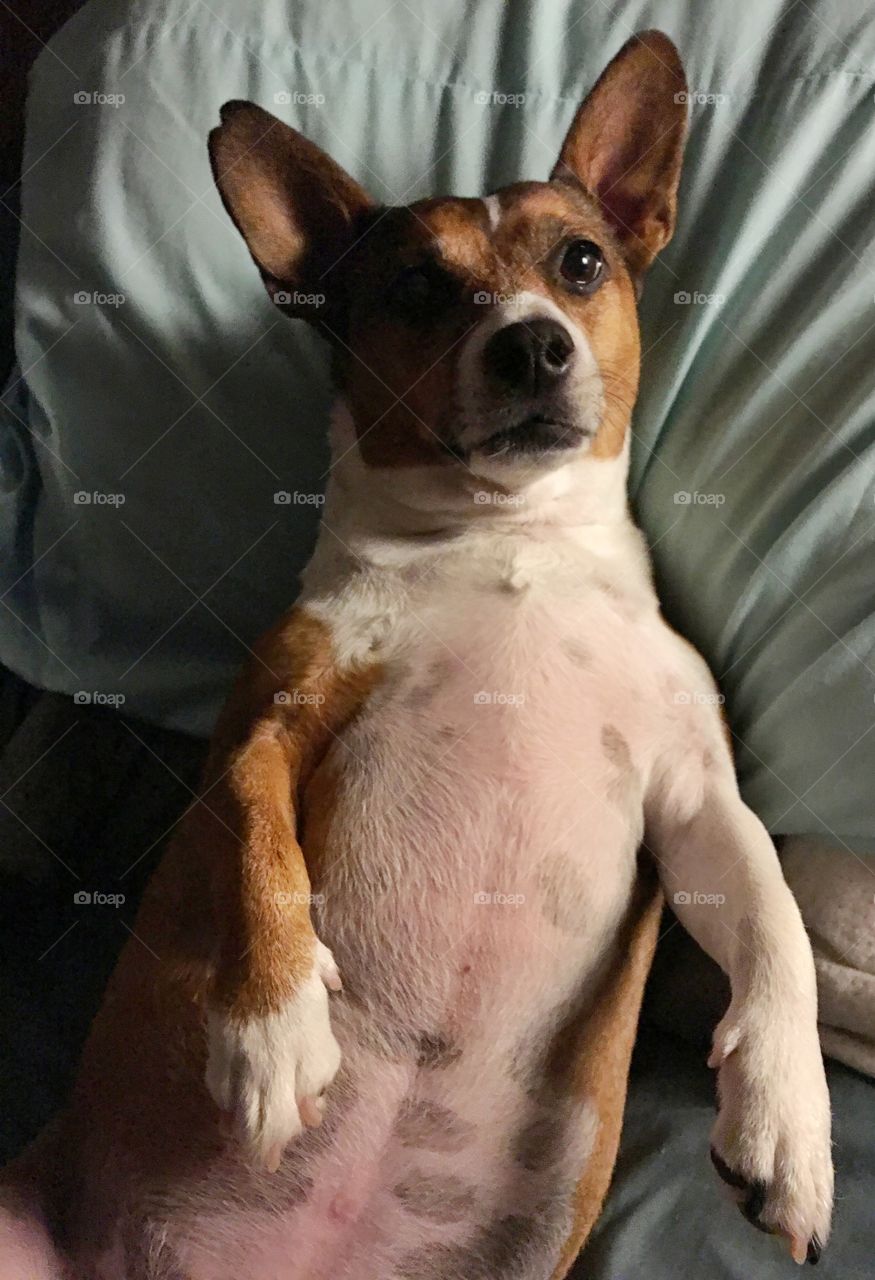 I'm not getting out of bed today 