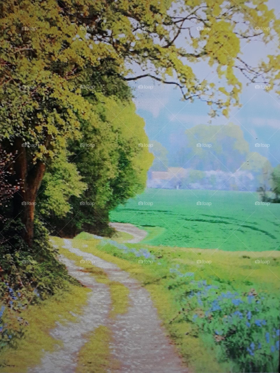 paisagem com verde e nublado