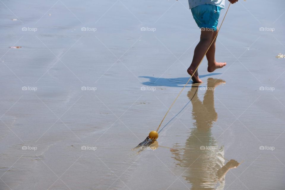 Barefoot and carefree kid just found a new toy on the beach- kelp that was washed out in a shallow.. He is running around happily , spreading joy on a hot summer day ..