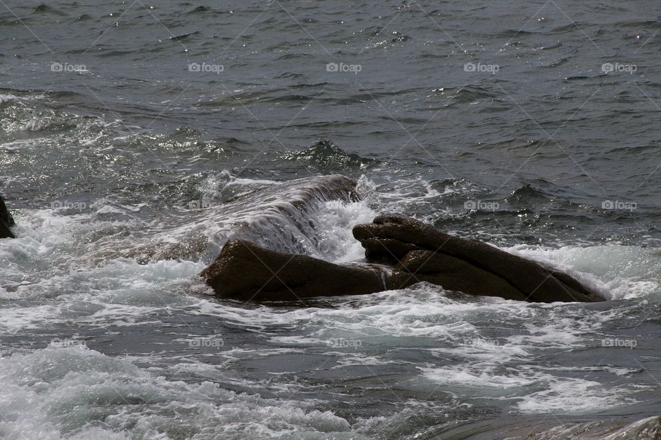 view of the coast of the sea