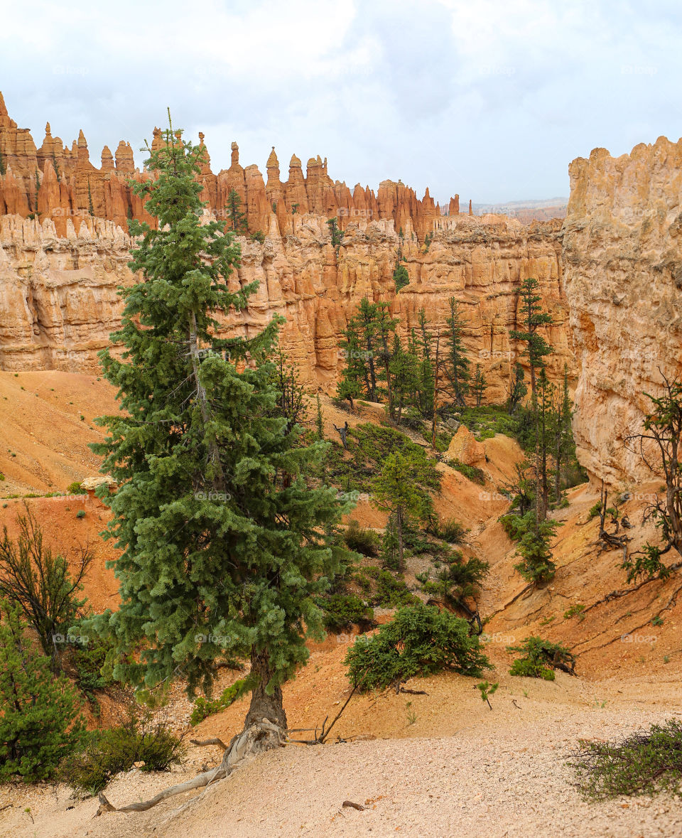 Bryce Canyon national park 
