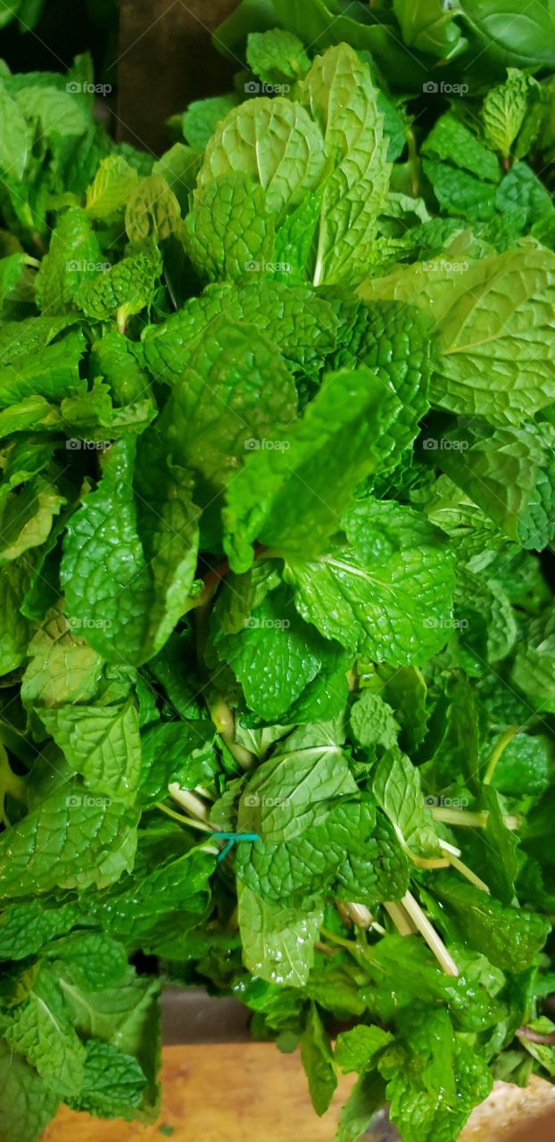 mint tea is everything 😍