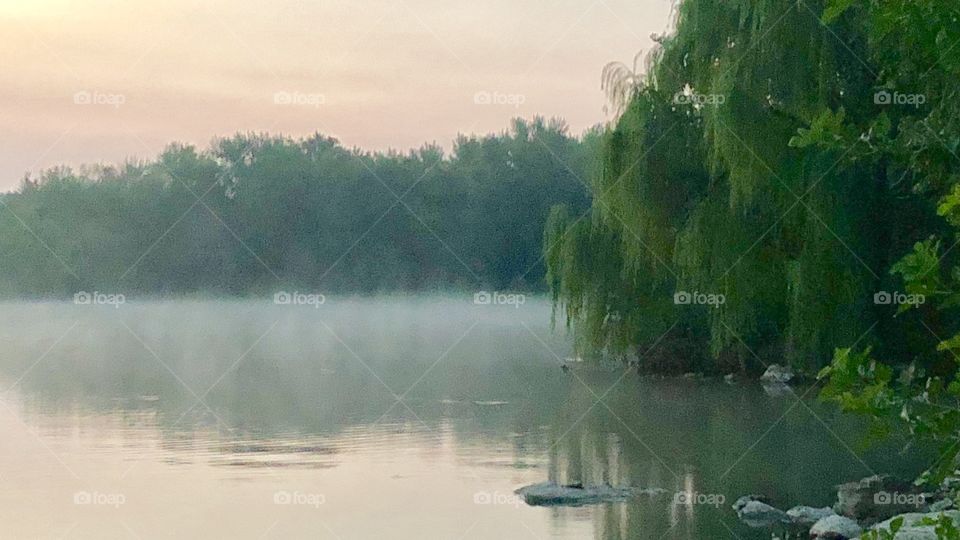 Misty Morning at Holiday Lake