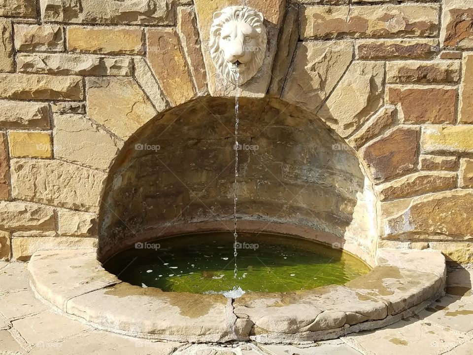 Fort Worth botanical gardens