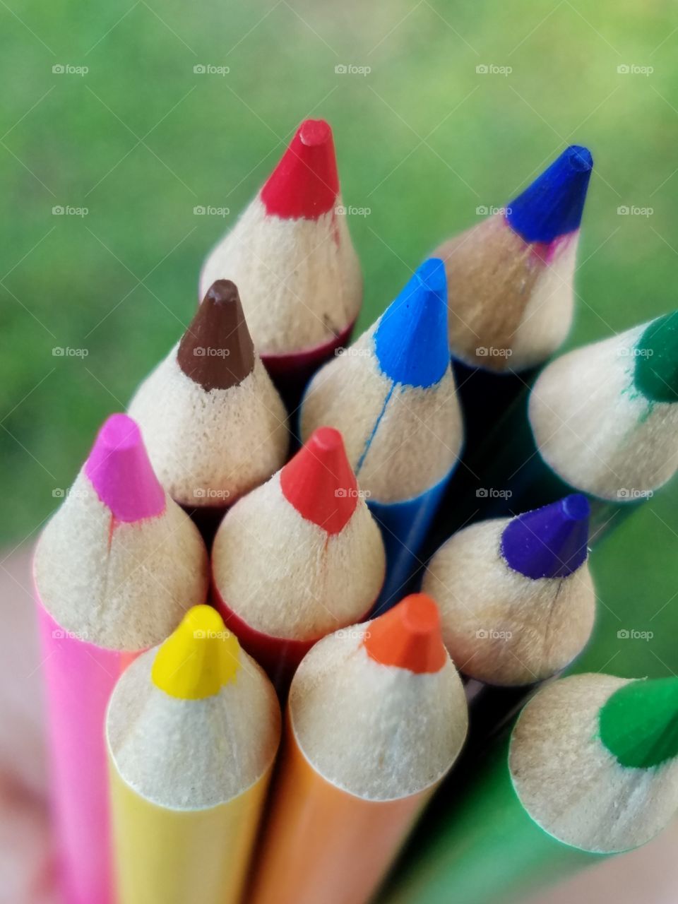 Beautiful macro shots