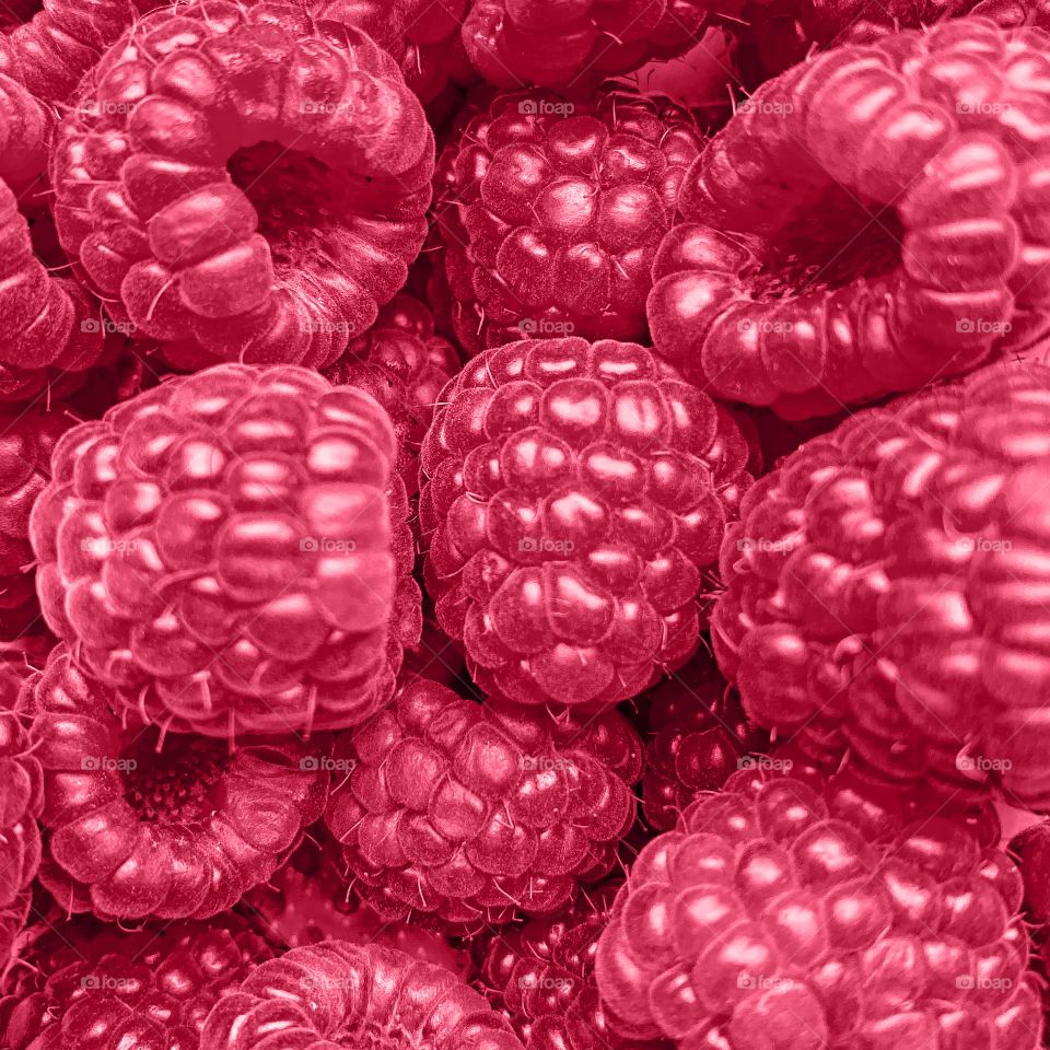 Macro photography of fresh raspberries 